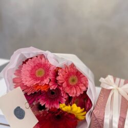 Gerberas Bouquet 24