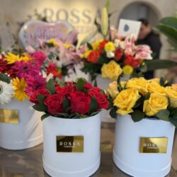 Box de 12 rosas