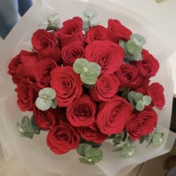 Red bloom