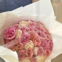 36 Rosas Rossà